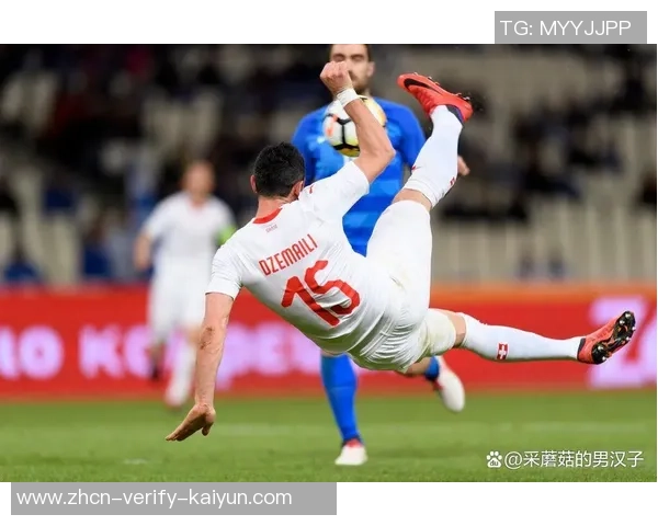 黑山国家足球队的崛起与挑战解析及未来发展展望